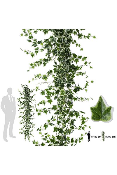 Roberto Rossi Iedera artificiala H200cm cu frunze verde cu alb pentru exterio...