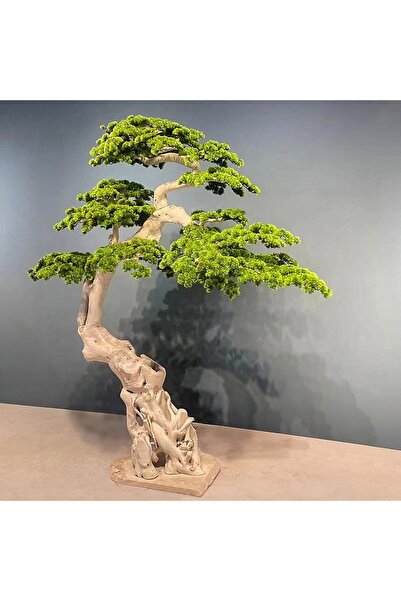 Roberto Rossi Bonsai artificial H270cm Pin cu trunchi din lemn alb, coroana L...