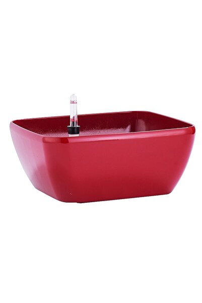 Roberto Rossi Ghiveci inteligent H12x27,5x27,5 cm RobertoRossi Quadro Bowl ro...