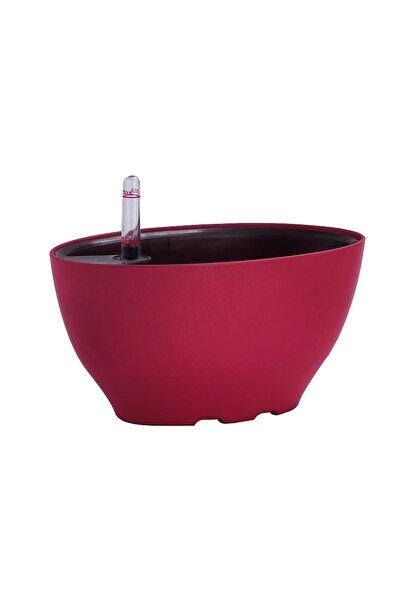 Roberto Rossi Jardiniera inteligenta L22xW13xH11 cm RobertoRossi Vessel rosu ...