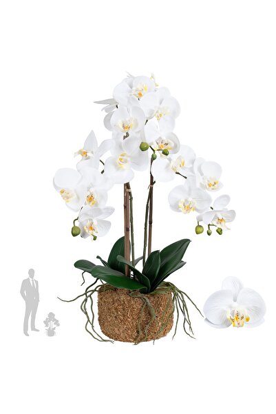 Roberto Rossi Orhidee artificiala alba cu aspect H58 cm cu 3 tulpini