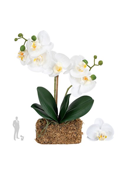 Roberto Rossi Orhidee artificiala alba cu aspect H36 cm cu 2 tulpini