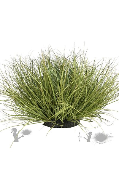 Roberto Rossi Iarba artificiala Onion 38 cm verde cu bej