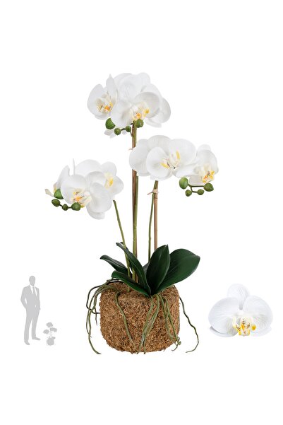 Roberto Rossi Orhidee artificiala alba cu aspect H54 cm cu 3 tulpini
