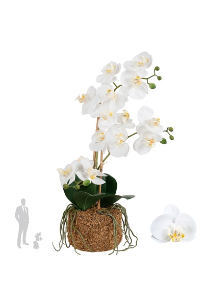 Roberto Rossi Orhidee artificiala alba cu aspect H54 cm cu 3 tulpini