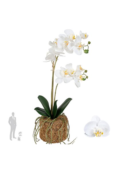 Roberto Rossi Orhidee artificiala alba cu aspect H51 cm cu 2 tulpini