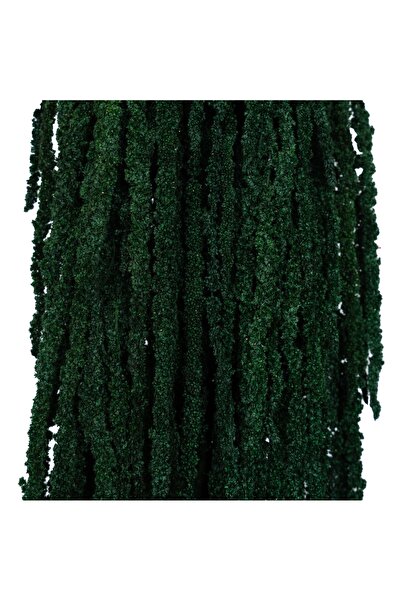 Roberto Rossi Crenguta conservata de Amaranthus H70-80 cm verde smarald RR1