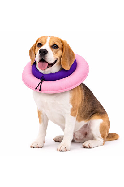 petite pati Ayarlanabilir Kedi Köpek Boyunluk Elizabeth Ameliyat Sonrası Koru...