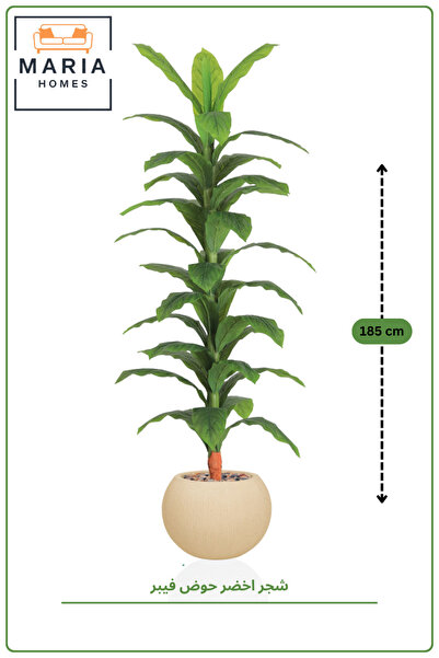 MARIA HOMES 186 CM Artificial Dracaena Corn Plant with Beige Fiber Pot Tall I...