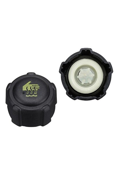 RADYATOR EK DEPO KAPAGI KANGOO-CLIO III-IV-MEGANE II-III-FLUENCE-MASTER II-III-TRAFIC(7700805031) 8200048024 ( 10 ADET )