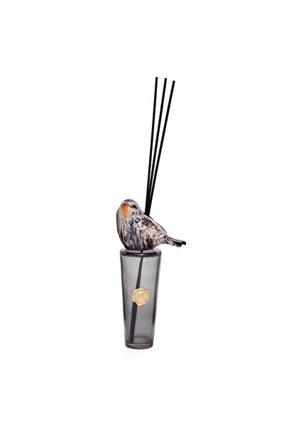 Missi Kendi Kokunu Seç-Bird Collection Siyah Slim Cam Çubuklu Difüzör (Esanssız)