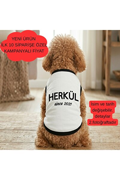 Barneystore Kedi Köpek İsimli Atlet