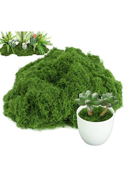MirageBotanics 100g Artificial Moss for Plants Indoor, Fake Moss for Arts and...