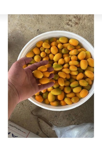 Mirayın bahçesinden Kumkuat 500 gr Muz 2 Kilo