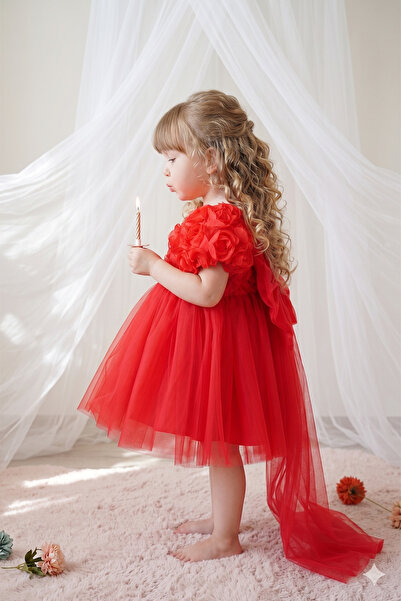 ALYRA Κοριτσίστικο/Παιδικό Κόκκινο Φόρεμα Πριγκίπισσας με Τρισδιάστατα Τριαντ...