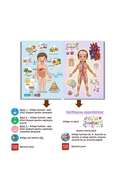 minibooks Corpul Uman pe Înțelesul Tău – Carte Interactivă Copii 6+ | Cu Sunete, Activități și Învățare prin Joacă