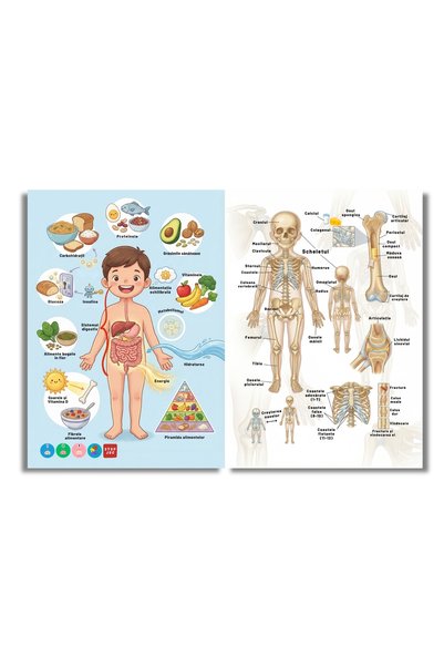 minibooks Corpul Uman pe Înțelesul Tău – Carte Interactivă Copii 6+ | Cu Sunete, Activități și Învățare prin Joacă