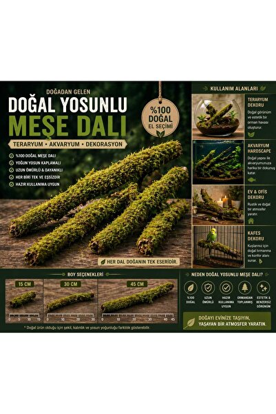 macc Doğal Yosunlu Meşe Dalı Dekoratif Dal Teraryum Akvaryum Kafes İçin 15cm