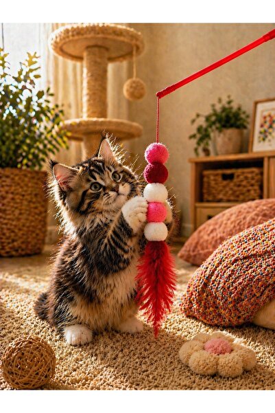 HAYHAYPETSHOP Cat Fishing Rod Toy with Furry Pompom Colorful Cat Toy Worm Mod...