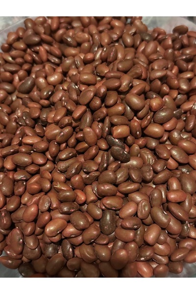 Rem Sarıkız Fasulye Tohumu ( ilaçlı) 250 gr