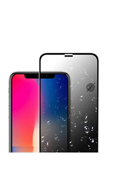 zore iPhone X Anti-Dust Matte Privacy Tempered Screen Protector - Black