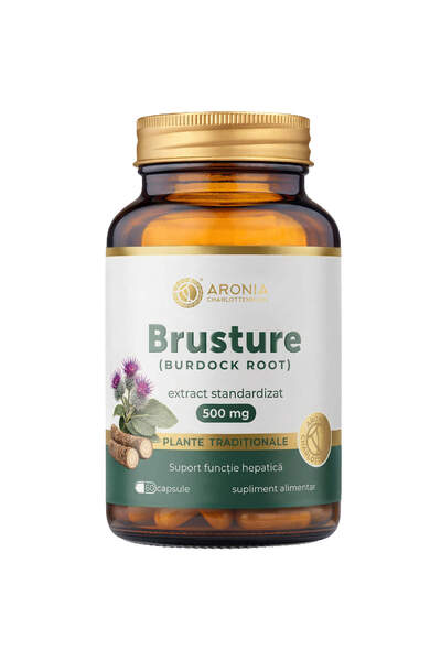 Aronia Charlottenburg Κολλιτσίδα 500 mg — 60 κάψουλες με συμπυκνωμένο εκχύλισ...