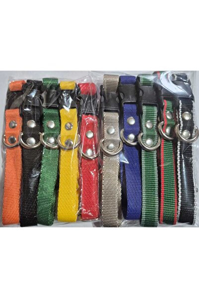 Loyal Friend Store köpek tasma 10 lu set ufak ırklar için