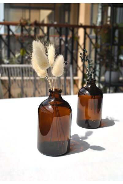 Qualitev 2 Pieces Mini Vase Amber Glass Decorative Minimal Glass Bottle 100 m...