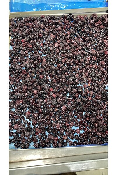 CİLİCİA'S FARM DONDURULARAK KURUTULMUŞ BÖĞÜRTLEN