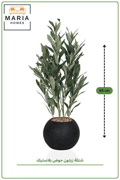 MARIA HOMES Artificial Olive Plant 65 cm with Pot – Small Indoor Decorative Tree