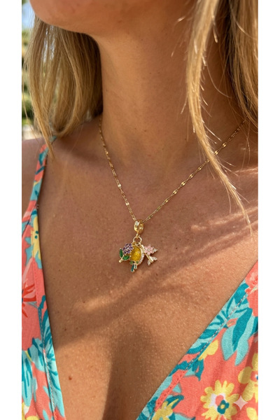 İNN JEWELLERY Çelik Kolye Kararmaz Antialerjik Vintage Zirkon Figürlü (2 YIL ...