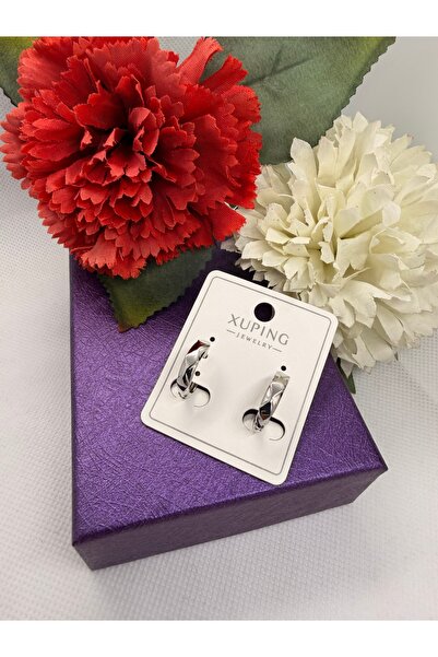 XUPING JEWELRY Xuping Jewelry Series Geometric Hoop Steel Earrings