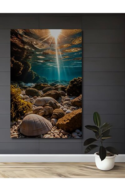 Teona Ahşap Υποθαλάσσια Ηλιακά Φωτιστικά Πέτρες Κοχυλιού Ξύλινο Διακοσμητικό ...