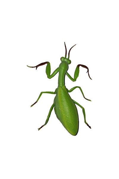 MEGA Stretch Çekirge
