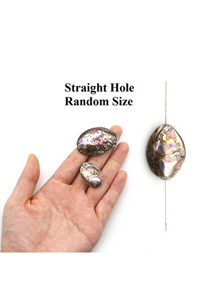 Choice 13x20-18x30mm-5pcs Random Size Natural Baby Abalone Shell Irregular Lo...