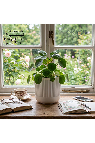 okacih Modern Ribbed Çizgili Saksı 14 cm 1.8 Litre Dekoratif İç Mekan Saksı