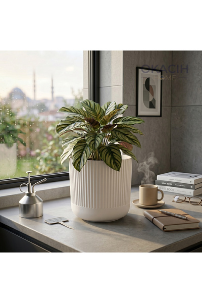 okacih Modern Ribbed Çizgili Saksı 16 cm 2.8 Litre Dekoratif İç Mekan Saksı