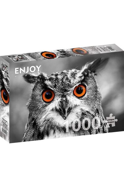 Enjoy Puzzle 1000 Pieces Enjoy Jigsaw Puzzle - Curious Owl + Puzzle Glue Shee...