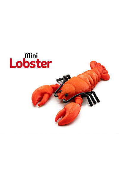 Yapı3D 🦞   Movable Design Keychain – Hard Plastic – Accessory with Flexible ...
