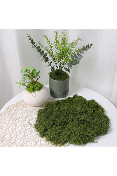Choice5 A-30X40 DIY Crafts Green Fake Moss - Faux Preserved Artificial Moss f...