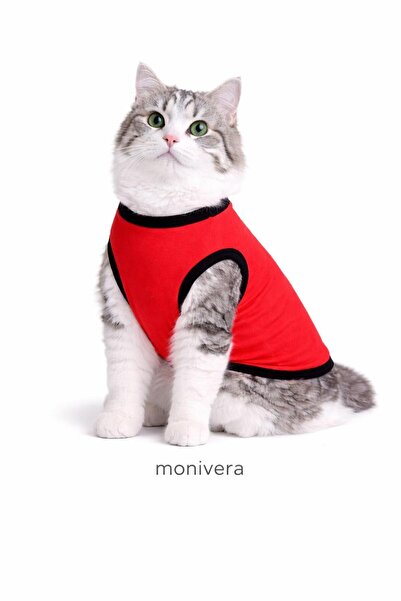 Modetra New Season Summer Unprinted Solid Color Ribbed Cat & Dog Outfit - Und...