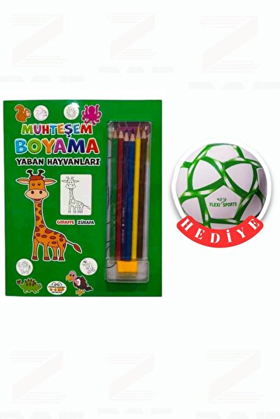 Parıltı Yayınları Magnificent Painting-Wild Animals-Football Ball Gift