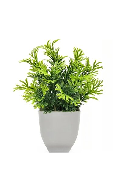 Choice1 1pc Pine needle 1PC Artificial Plant with Plastic Pot for Home Office...