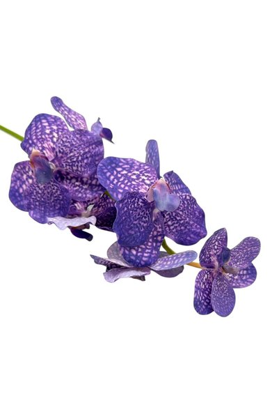 Cattleya Tija Orhidee Vanda Artificiala 60 cm