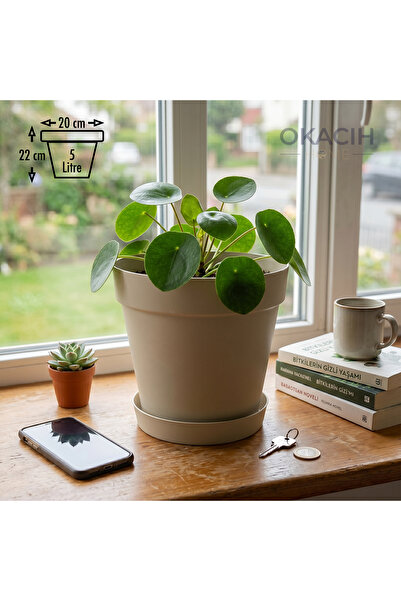 okacih Modern Tabaklı Saksı 20 cm 5 Litre Dekoratif Saksı