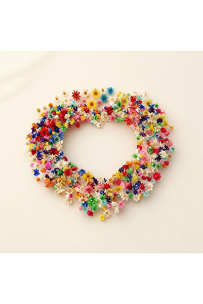 Choice 100Pcs 100 Pcs Mini Dried Flowers Multicolor for DIY Resin Jewelry Can...