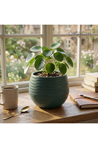 okacih Yuvarlak Saksı Modern Çizgili Dekoratif Çiçek Saksısı