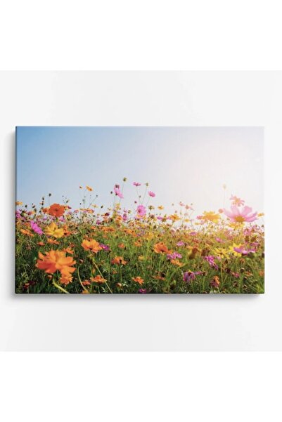 OEM WOWCanvas, Câmp de Cosmos în Soare, 150 x 100 cm