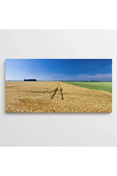 OEM Tablou pe pânză Peisaje WOWCanvas, Câmpuri de grâu sub cer limpede, 160 X...