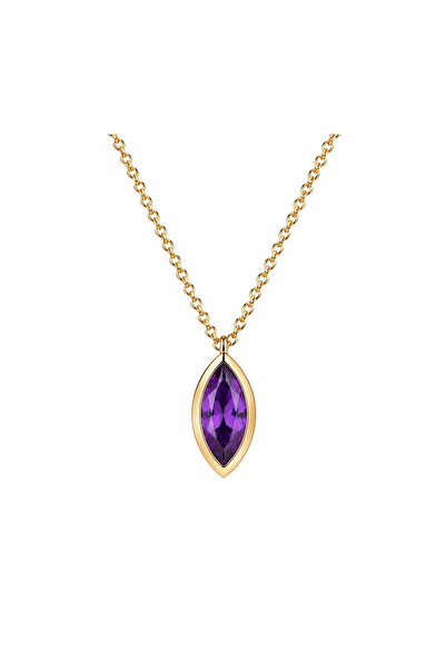 Şubat Amethyst Birthstone Kolye